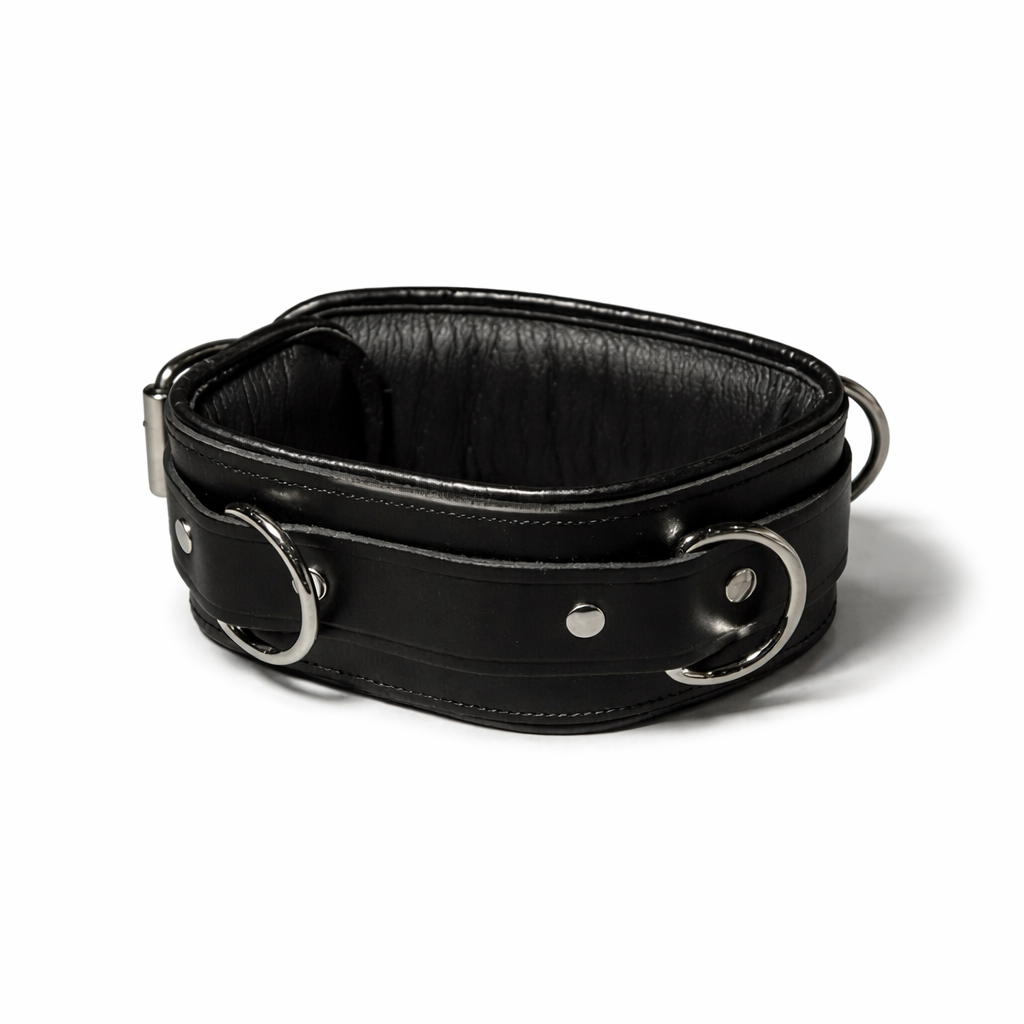 Padded Leather D-Ring Collar