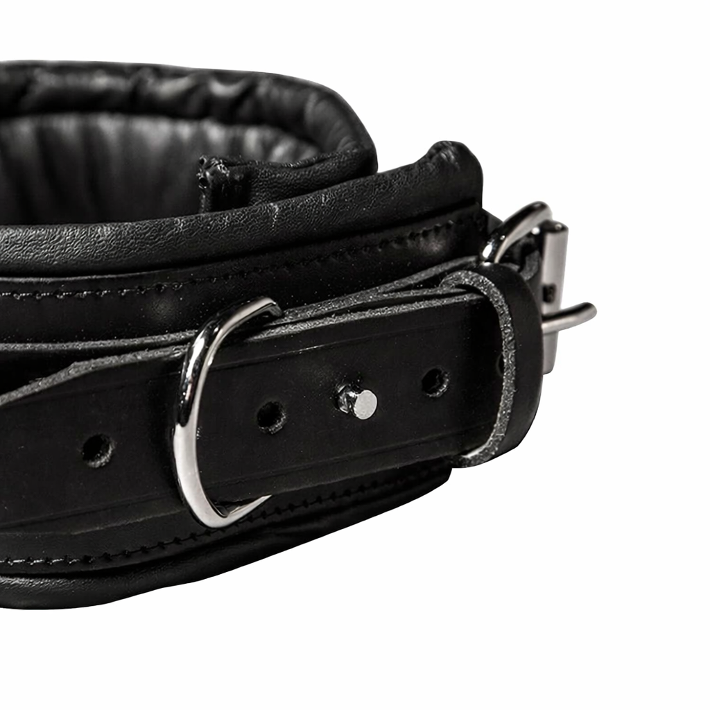 Padded Leather D-Ring Collar