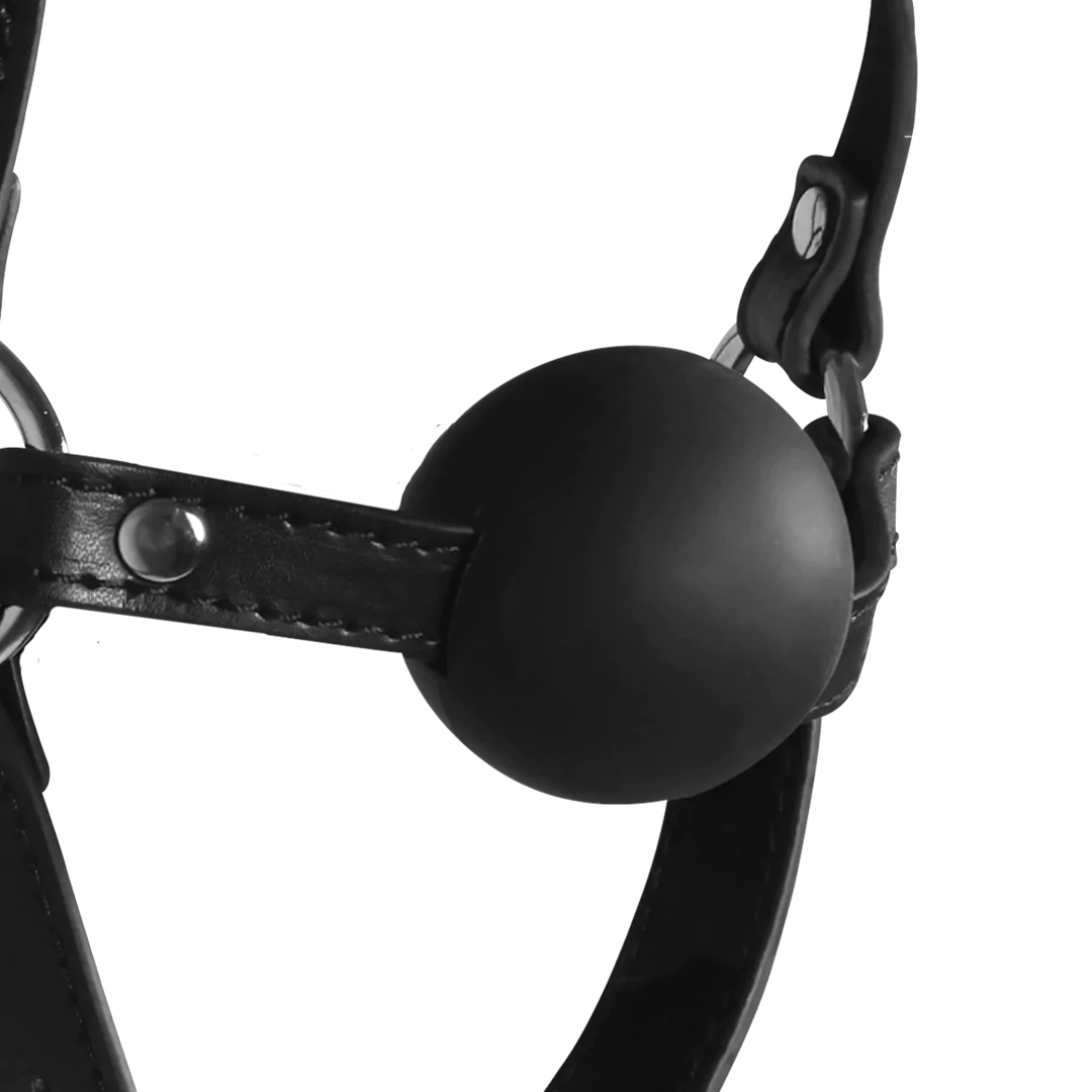 Blindfolded Head Harness with Solid Ball Gag - Black