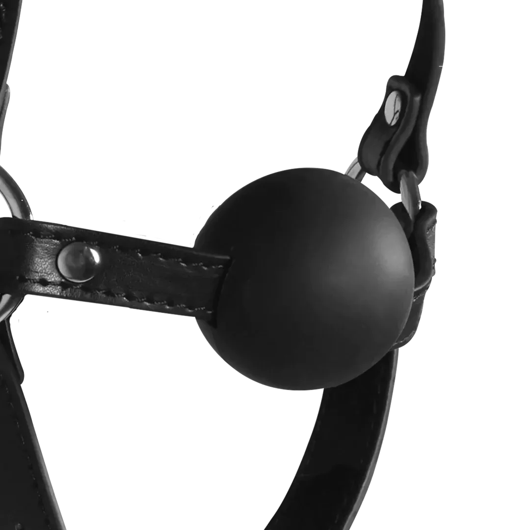 Blindfolded Head Harness with Solid Ball Gag - Black