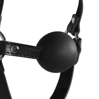 Blindfolded Head Harness with Solid Ball Gag - Black