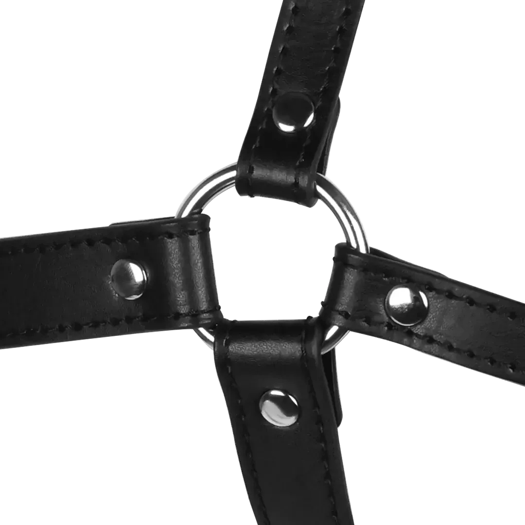 Blindfolded Head Harness with Solid Ball Gag - Black