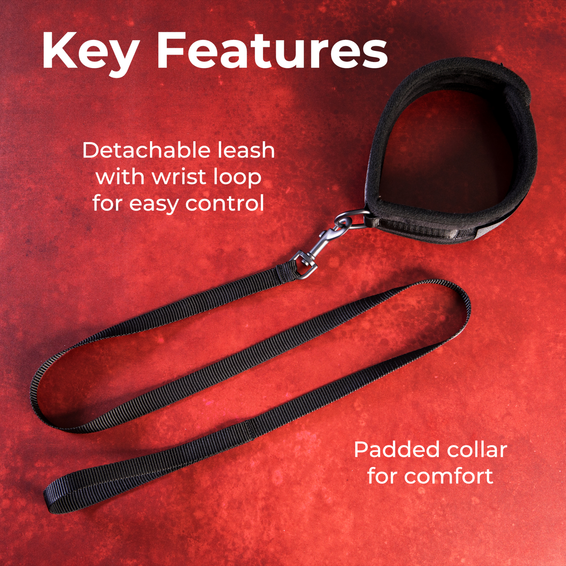 SEI MIO - Take the Lead - Padded Neck Collar and Leash