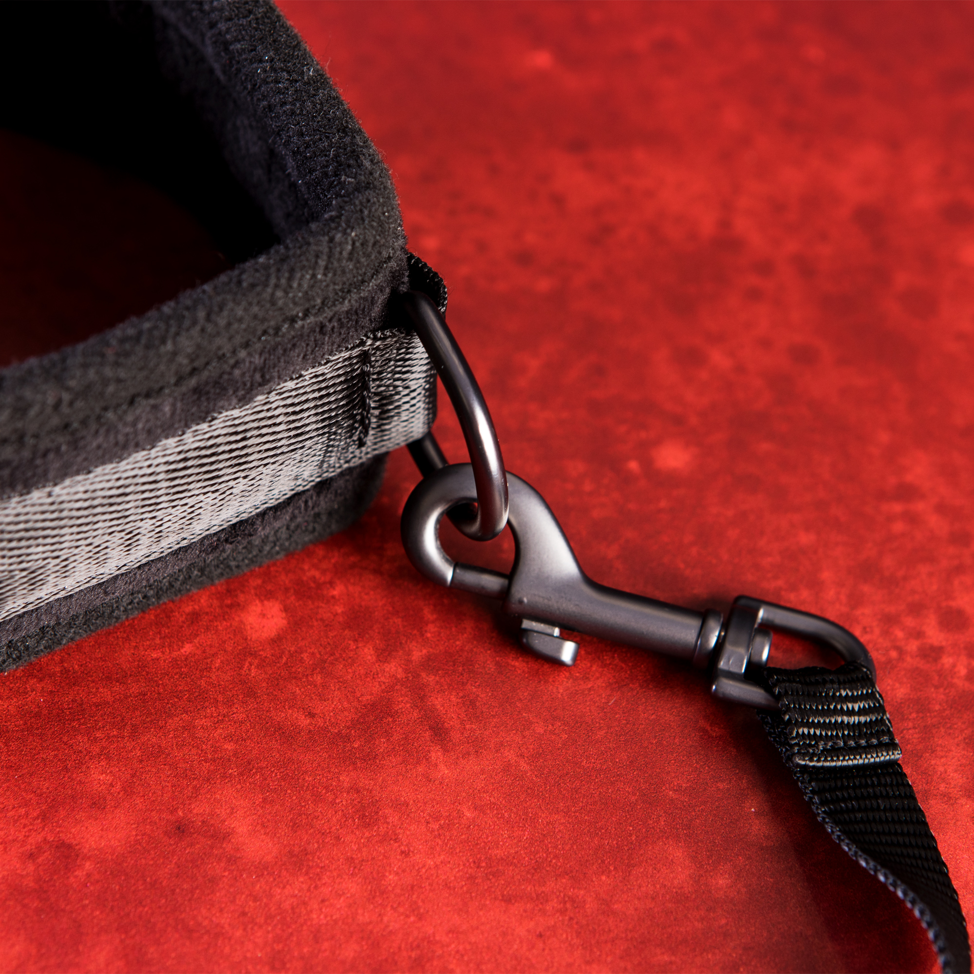 SEI MIO - Take the Lead - Padded Neck Collar and Leash