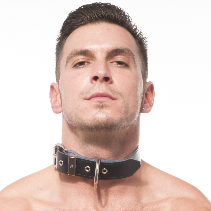 Titus Plain Leather Collar with D-Ring