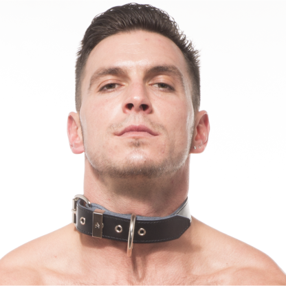 Titus Plain Leather Collar with D-Ring