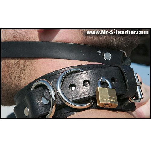 Mr S Leather LOCKING Collar by Fetters USA