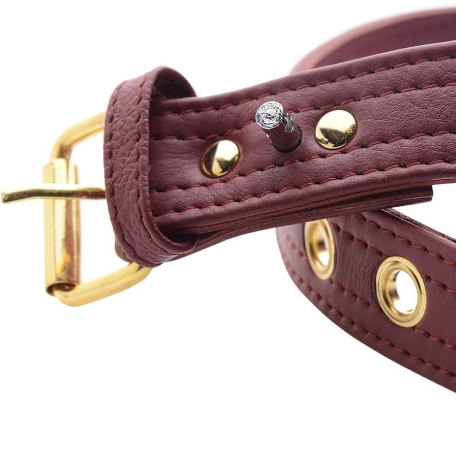 Burgundy Bondage Locking Collar with Gold Hardware