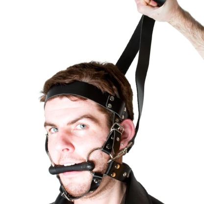 LEATHER BONDAGE PONY HARNESS