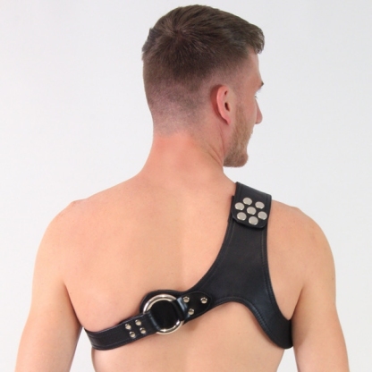 Titus Leather COLOSSEUM Harness | Black