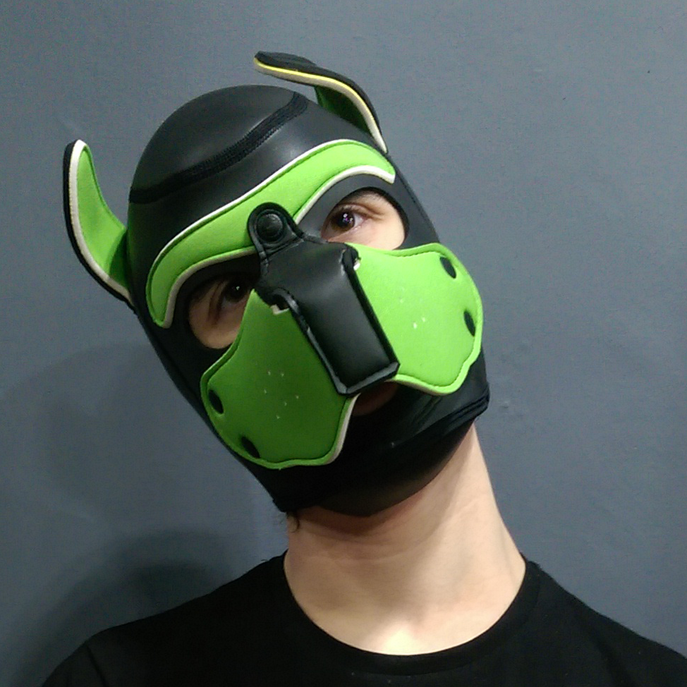 Mr S Leather NEOPRENE Puppy Hood - Black/Lime Green - Large