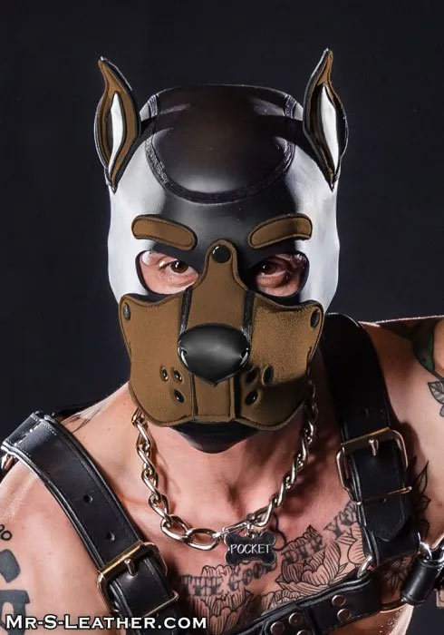 Neoprene K9 Hood | Small or Extra Large