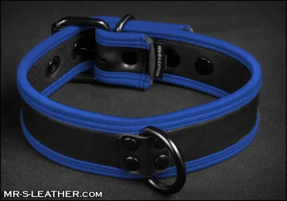 Mr S Leather NEO Puppy Collar: Small to Large | Blue Piping
