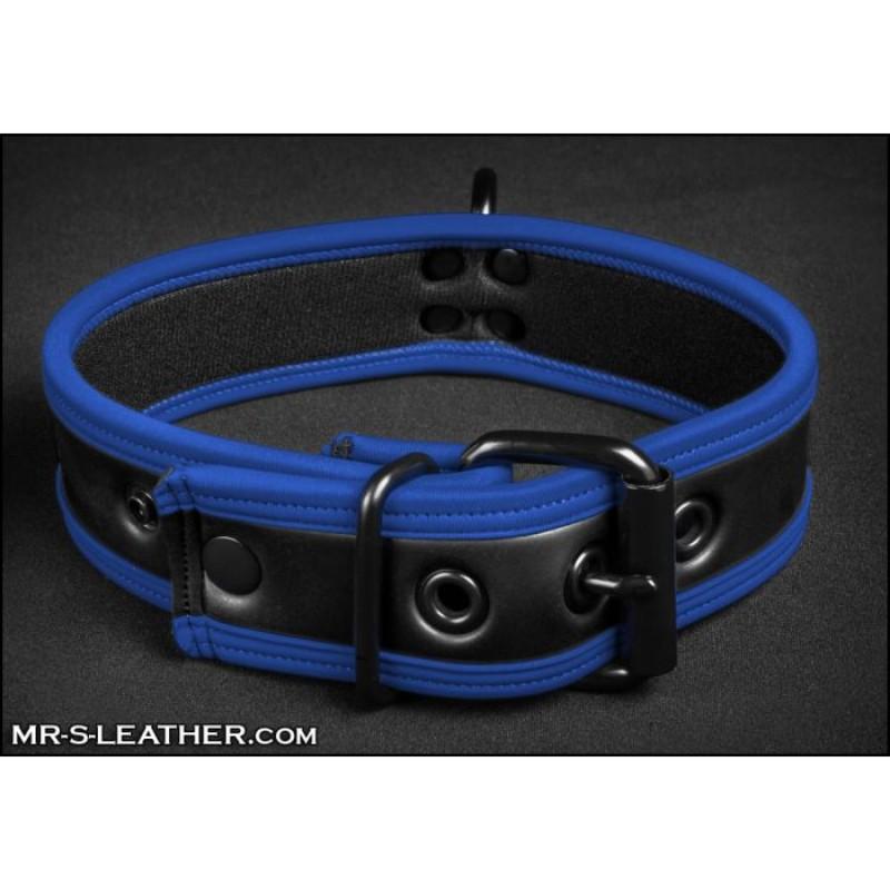 Mr S Leather NEO Puppy Collar | Black with Blue Piping