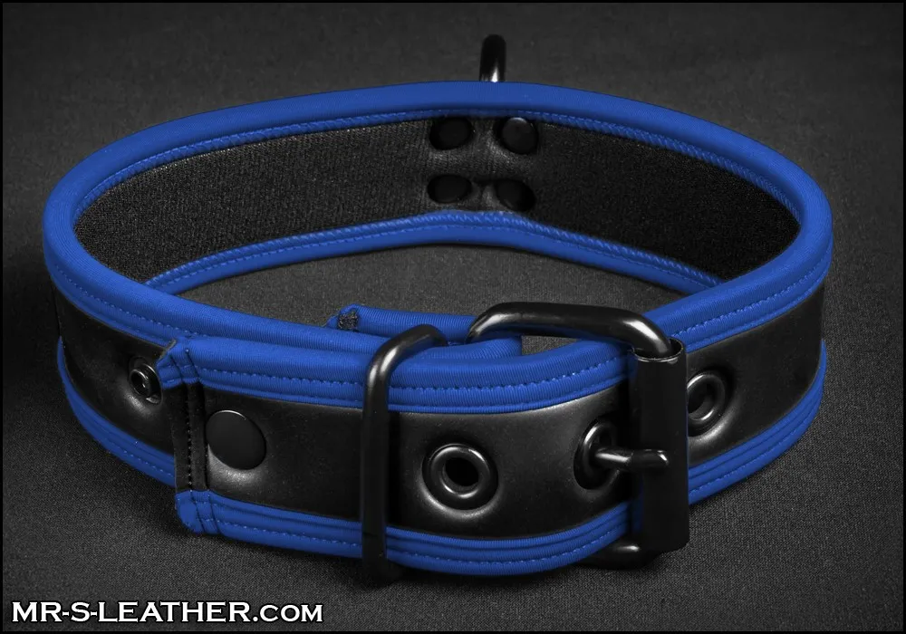 Mr S Leather NEO Puppy Collar: Small to Large | Blue Piping
