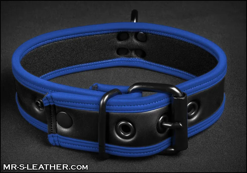 Mr S Leather NEO Puppy Collar: Small to Large | Blue Piping