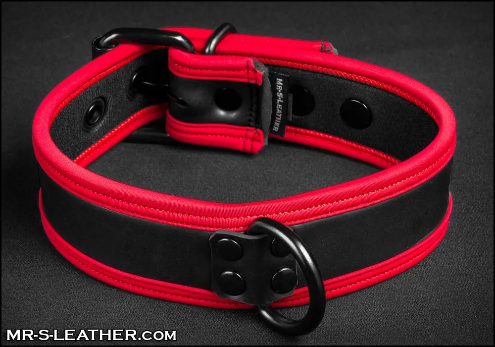 [Copy]Mr S Leather NEO Puppy Collar | Red Piping
