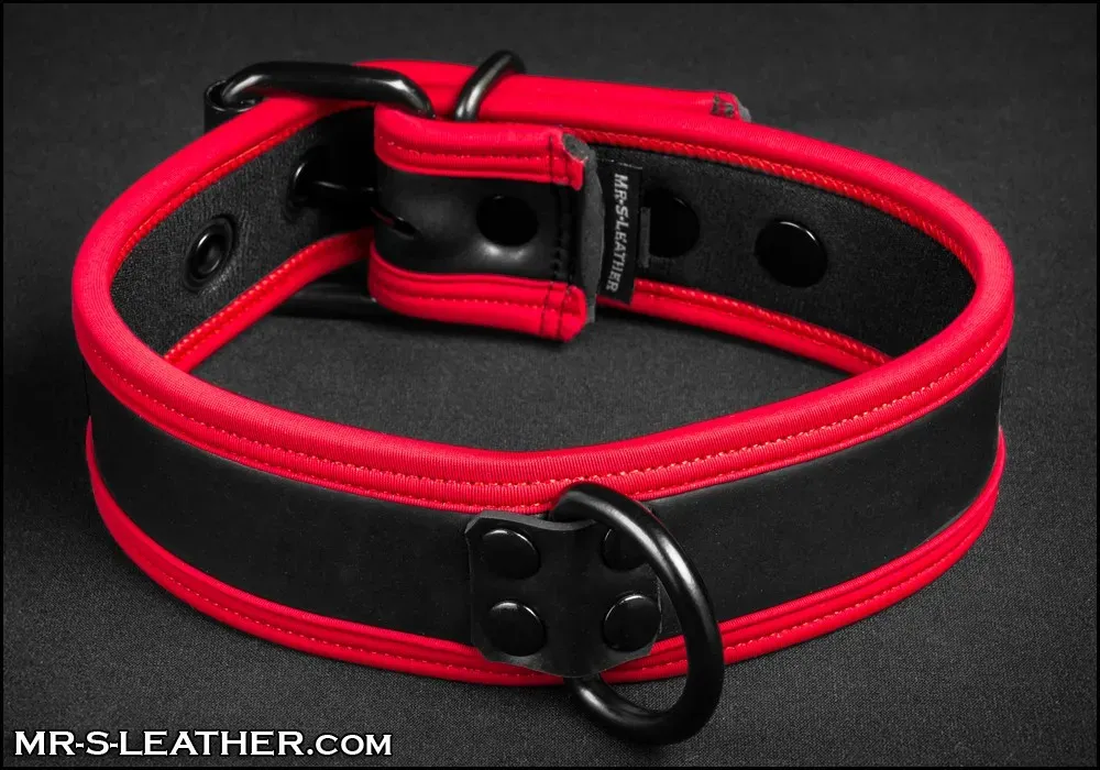 [Copy]Mr S Leather NEO Puppy Collar | Red Piping