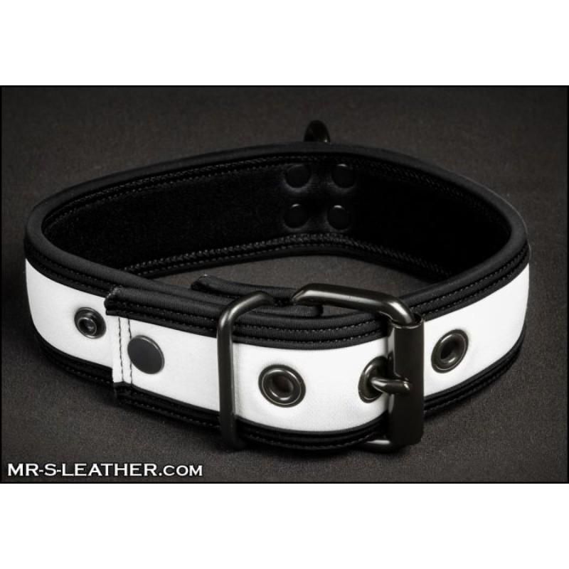 Mr S Leather NEO Puppy Collar: Small to Large | White