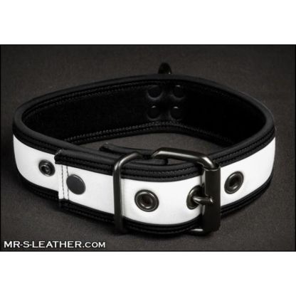Mr S Leather NEO Puppy Collar: Small to Large | White