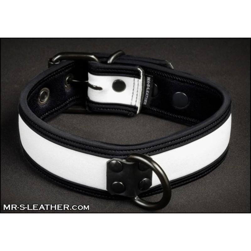 Mr S Leather NEO Puppy Collar: Small to Large | White