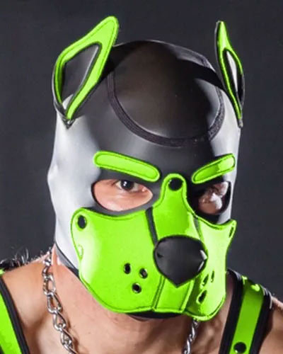 Neoprene K9 Hood | Small or Extra Large