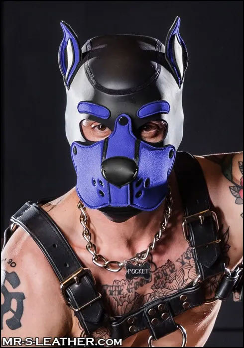 Neoprene K9 Hood | Small or Extra Large