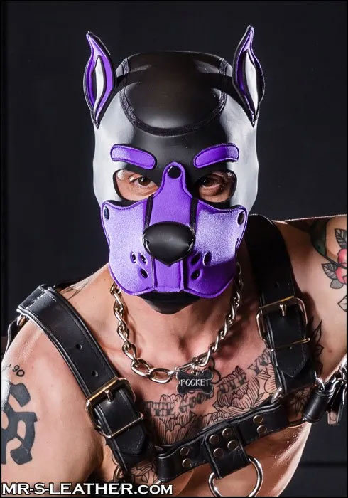 Neoprene K9 Hood | Small or Extra Large