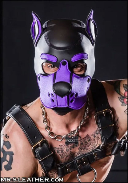 Neoprene K9 Hood | Small or Extra Large