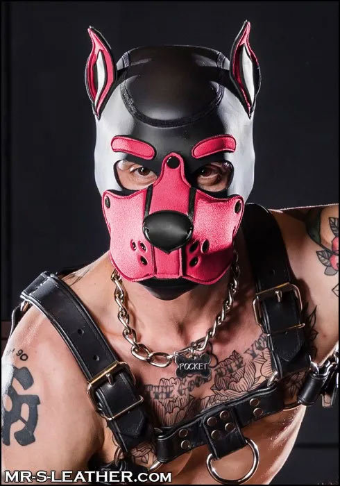 Neoprene K9 Hood | Small or Extra Large