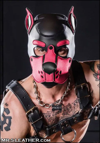Neoprene K9 Hood | Small or Extra Large