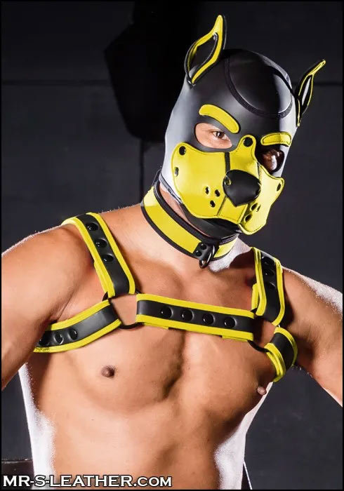 Neoprene K9 Hood | Small or Extra Large