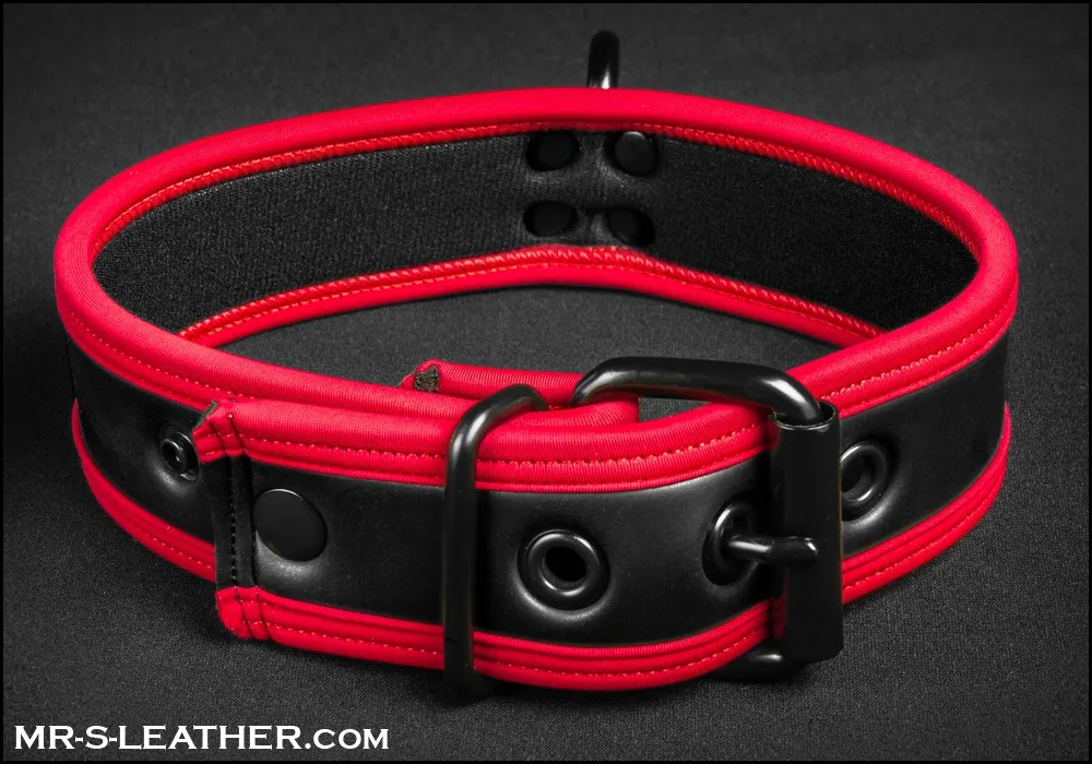 [Copy]Mr S Leather NEO Puppy Collar | Red Piping