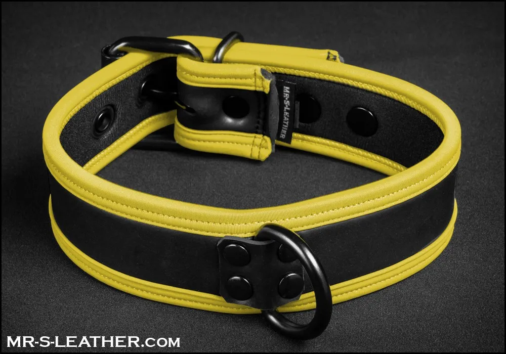 Mr S Leather NEO Puppy Collar | Yellow Piping