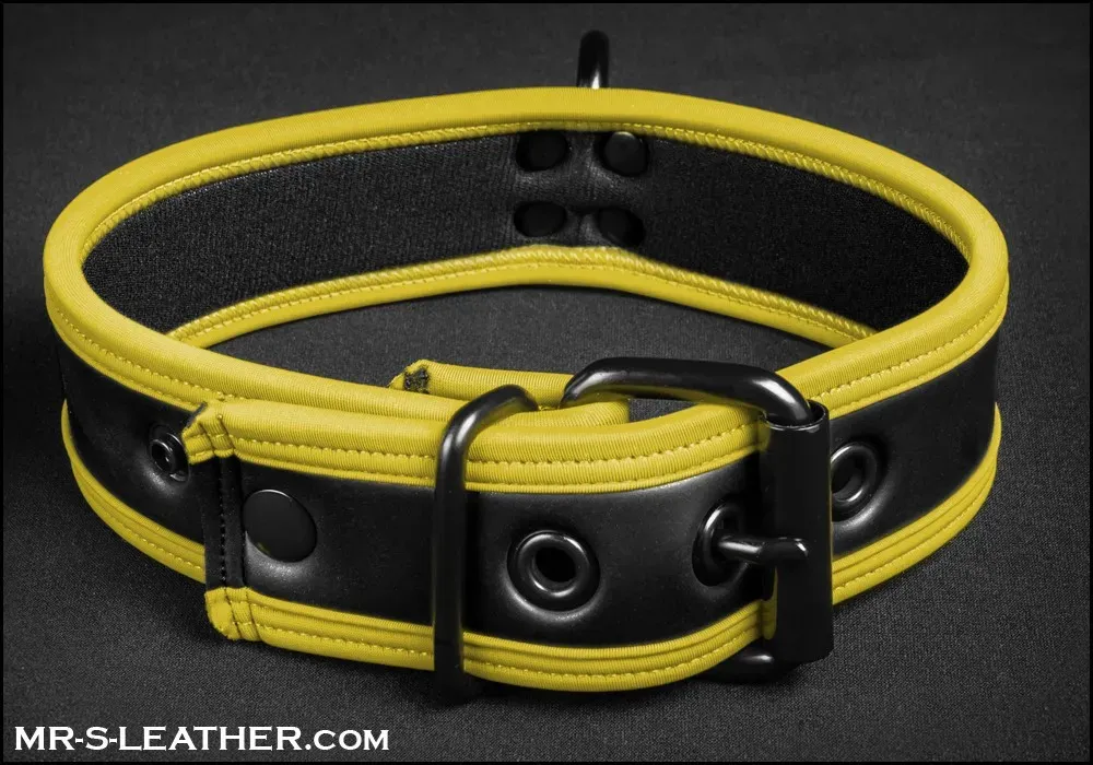 Mr S Leather NEO Puppy Collar | Yellow Piping