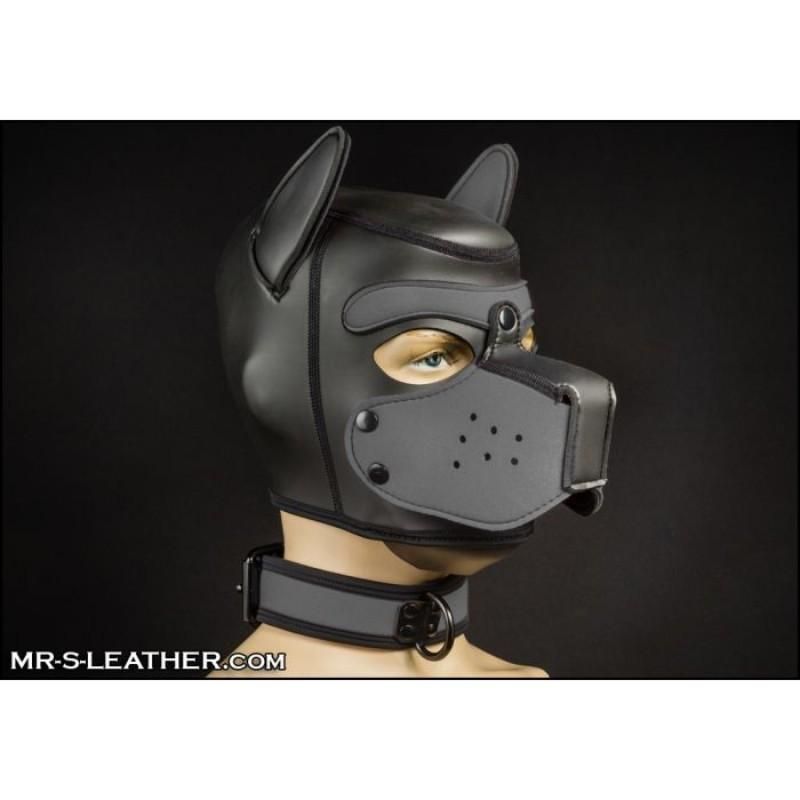 Mr S Leather NEO Puppy Collar: Small to Large | Grey