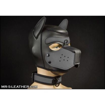 Mr S Leather NEO Puppy Collar: Small to Large | Grey