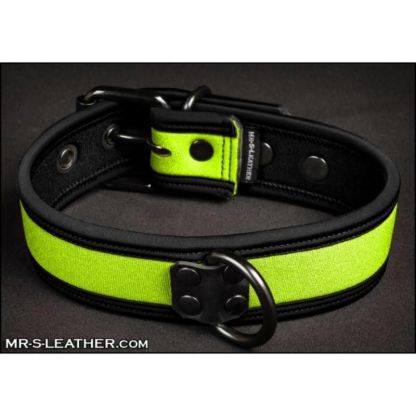 Mr S Leather NEO Puppy Collar: Small to Large | Lime