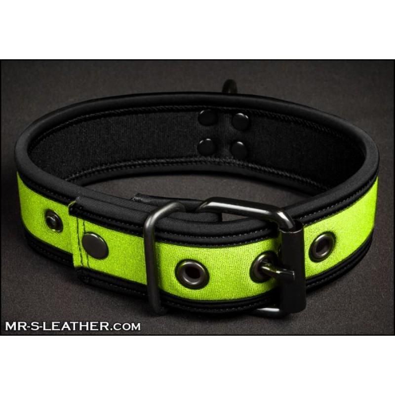 Mr S Leather NEO Puppy Collar: Small to Large | Lime