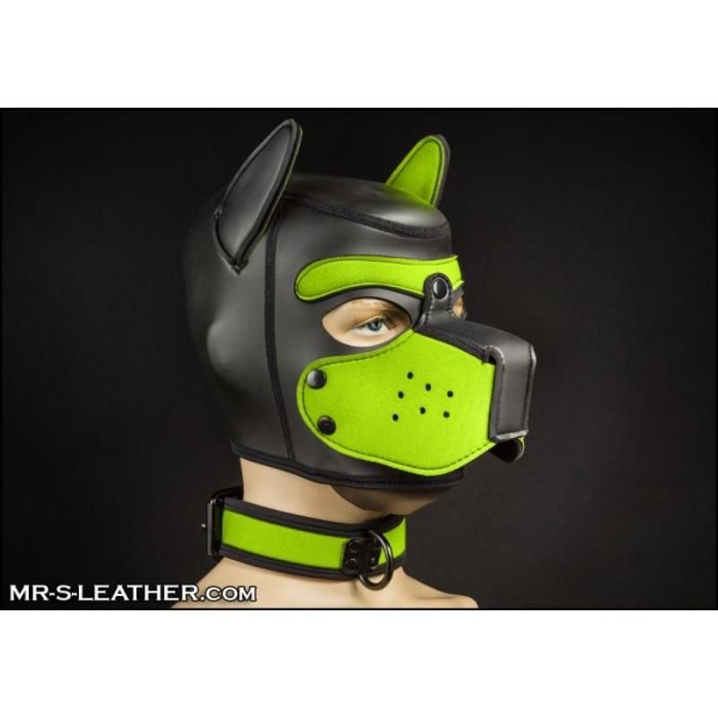 Mr S Leather NEO Puppy Collar: Small to Large | Lime