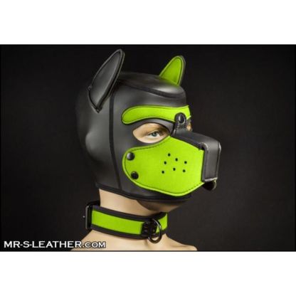 Mr S Leather NEO Puppy Collar: Small to Large | Lime