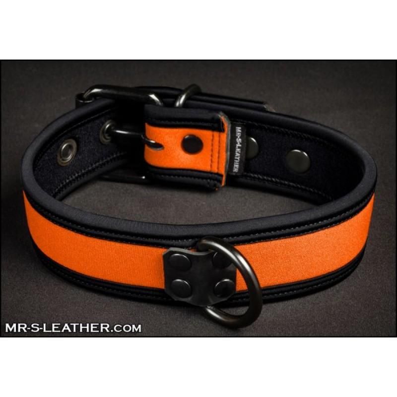 Mr S Leather NEO Puppy Collar: Small to Large | Orange