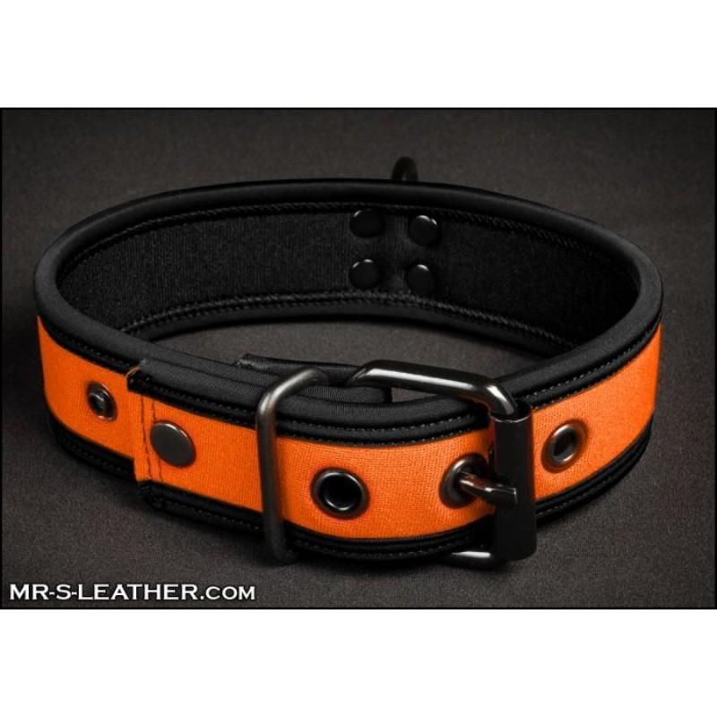 Mr S Leather NEO Puppy Collar: Small to Large | Orange