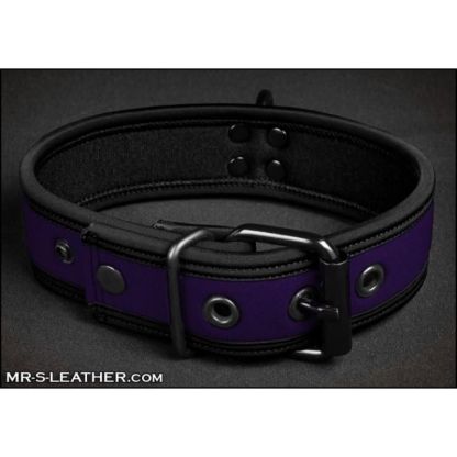 Mr S Leather NEO Puppy Collar: Small to Large | Purple