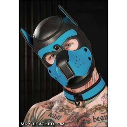Mr S Leather NEOPRENE Puppy Hood - Aqua - L