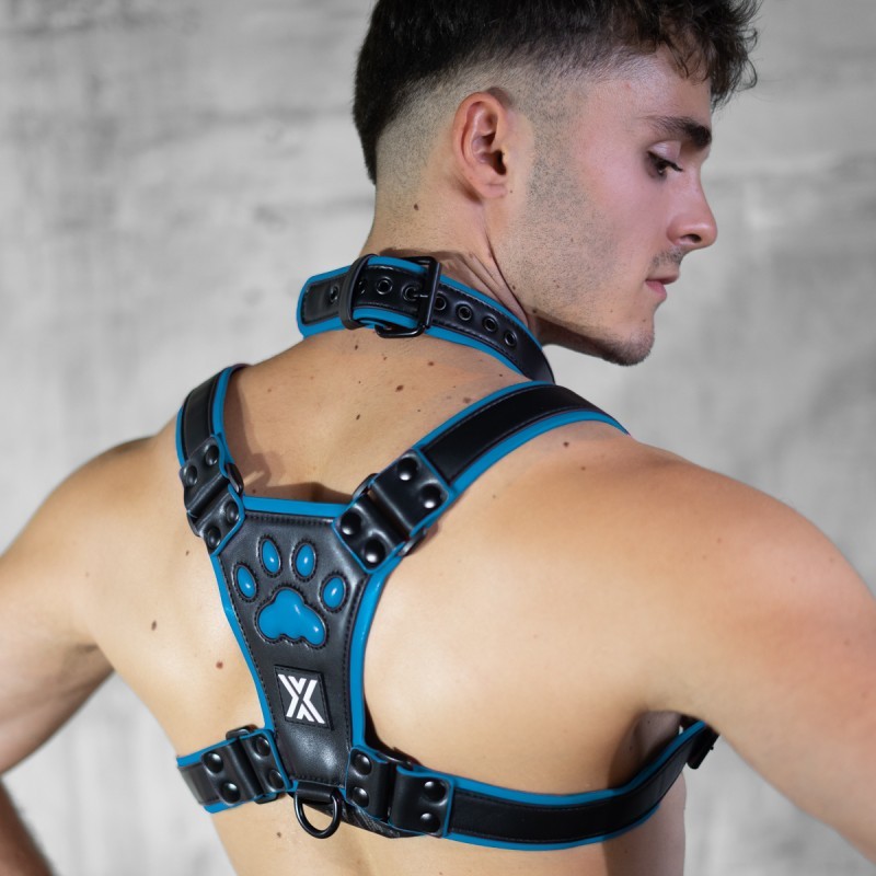 Boxer Barcelona PUX Collar 4cm | Black/Blue