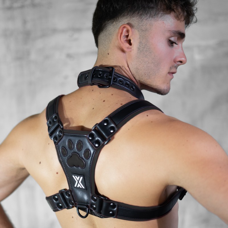 Boxer Barcelona PUX Collar 4cm | Black