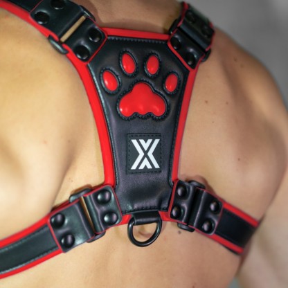 Boxer Barcelona Pux Puppy Control Harness - Black/Red