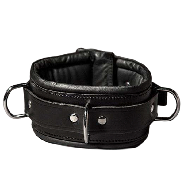 Padded Leather D-Ring Collar