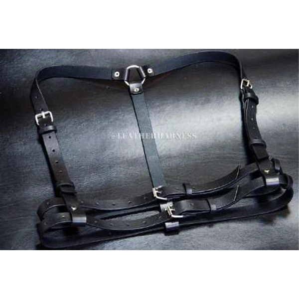 Argo Leather Chest Harness